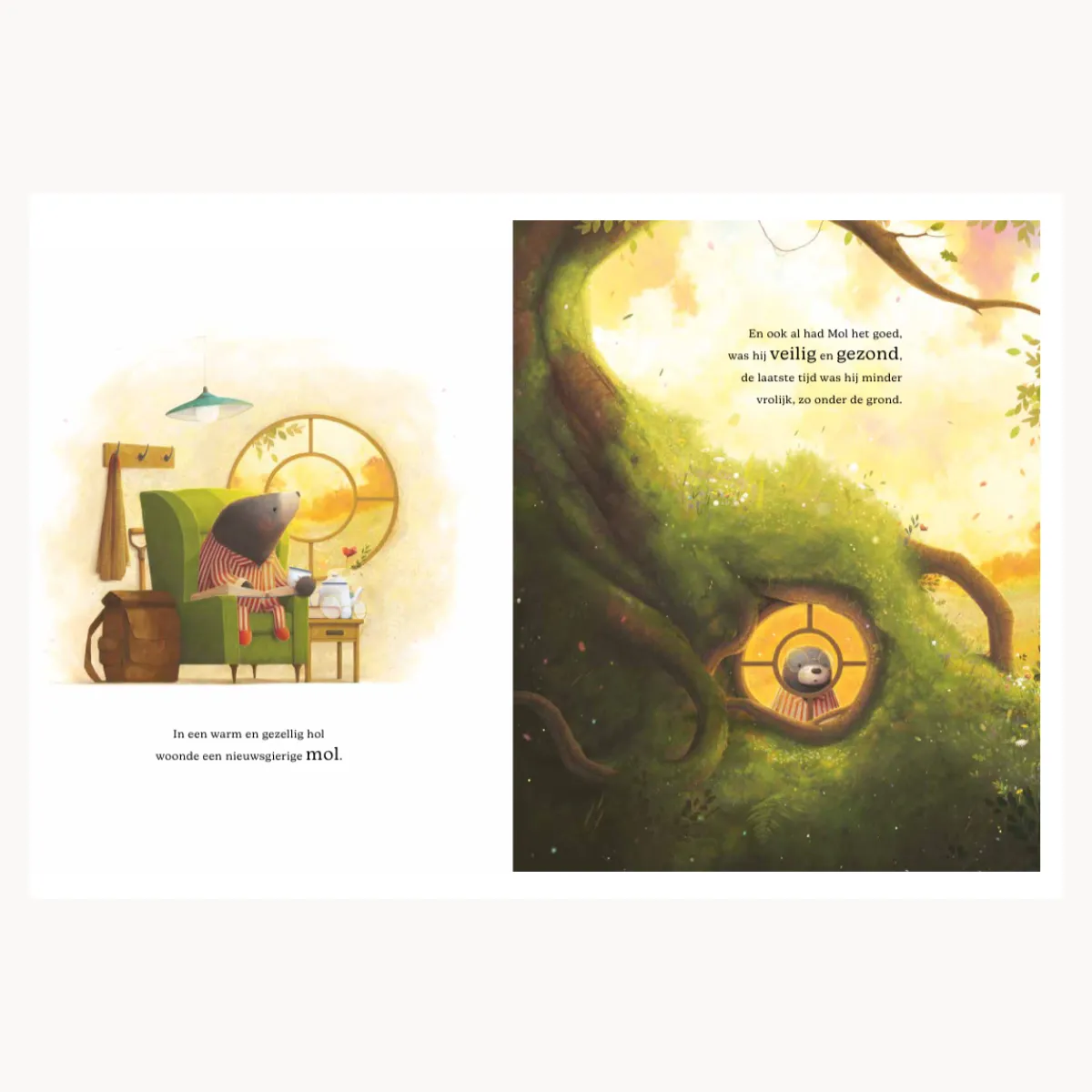 Rebo productions Taal & Communicatie | Concentratie & Geheugen*De Reis